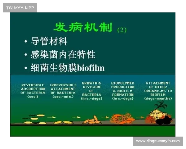 魔兽世界冻伤机制完全解析 魔兽世界冻伤机制完全解析