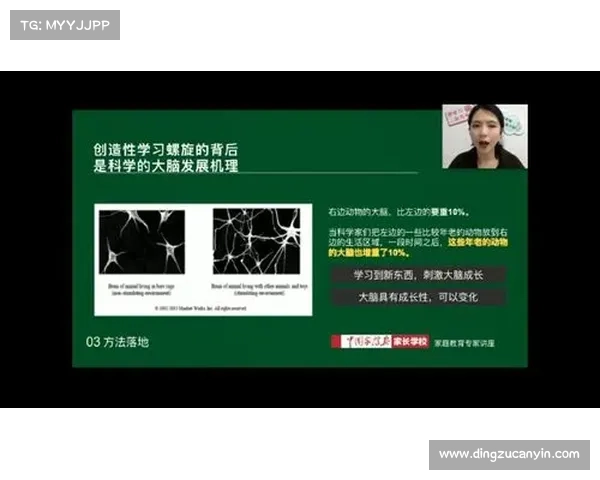 破碎王国重生之路面临的关键挑战与未来机遇探索