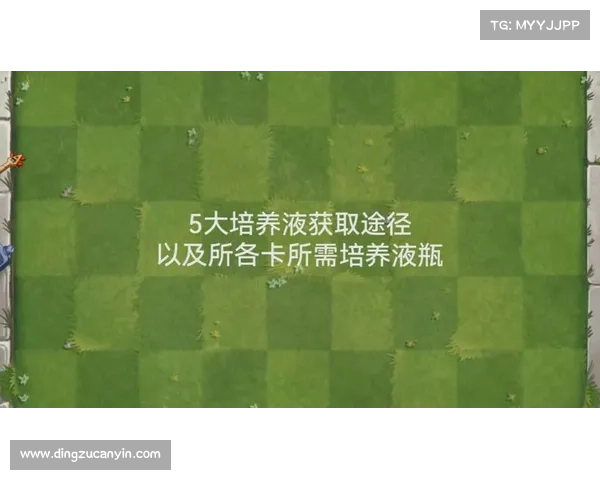 梦幻诛仙培养液提升技巧与最佳使用建议详解 梦幻诛仙培养液提升技巧与最佳使用建议详解