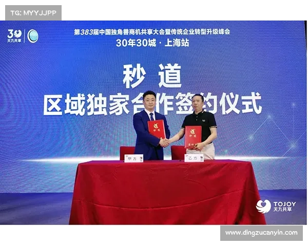 夺冠之道：七大必备策略助力球队实现巅峰荣耀